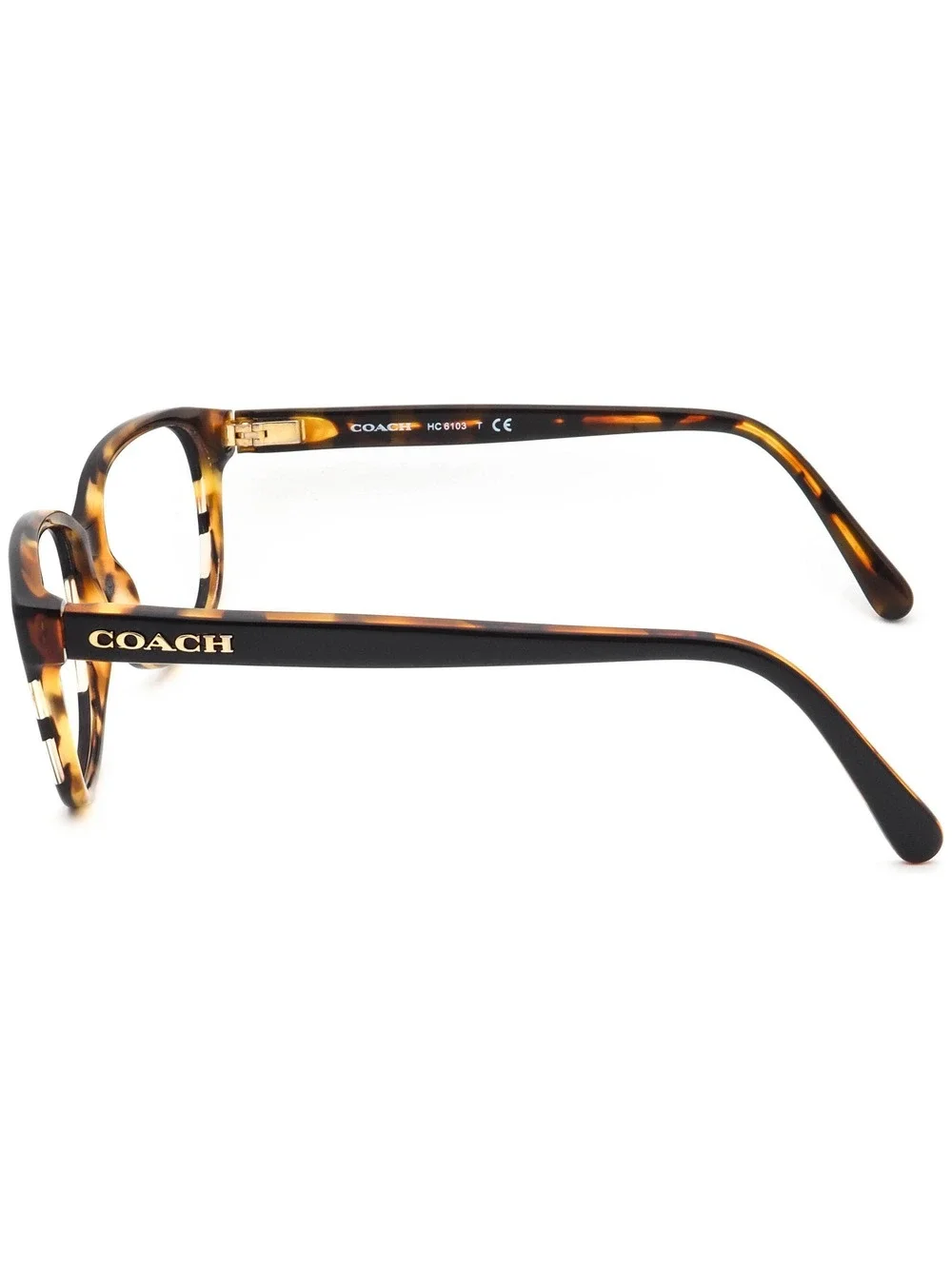 Coach HC 6103 5443 Eyewear